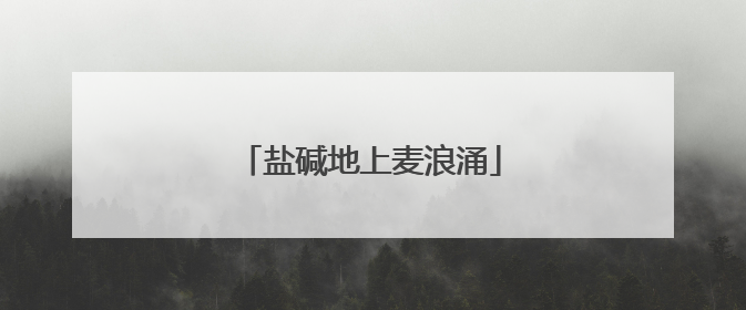 盐碱地上麦浪涌